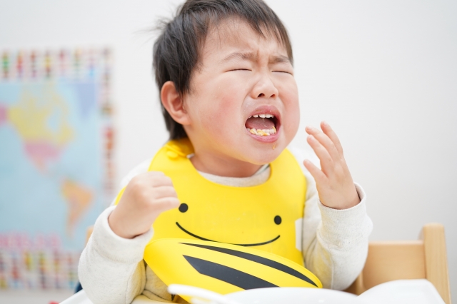 「チェアベルトを装着した2歳児」 「日本エイテックス おすわり補助ベルト」 「子連れ外食の様子」 「チェアベルトの使い方」