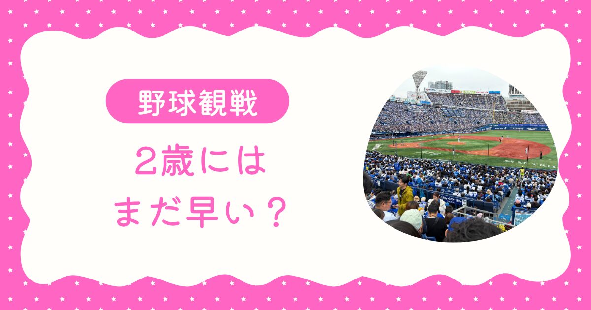 2歳の子どもと野球観戦に行ったパパの体験談